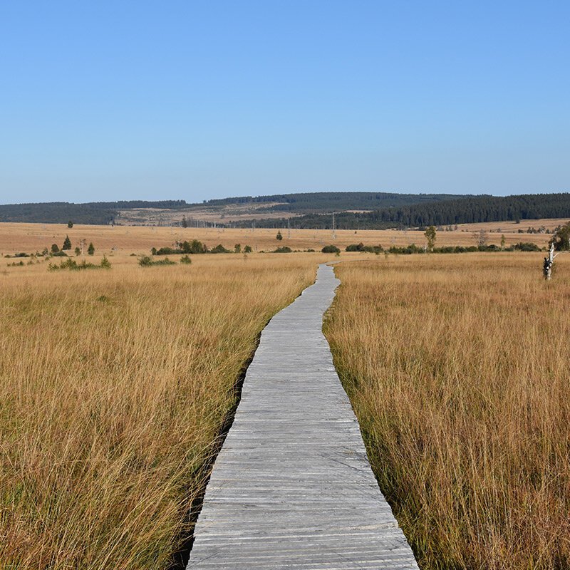 Parc naturel des Hautes Fagnes