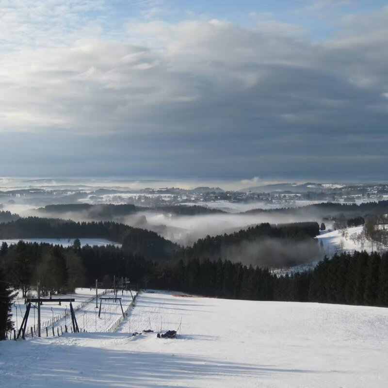 Ski alpin